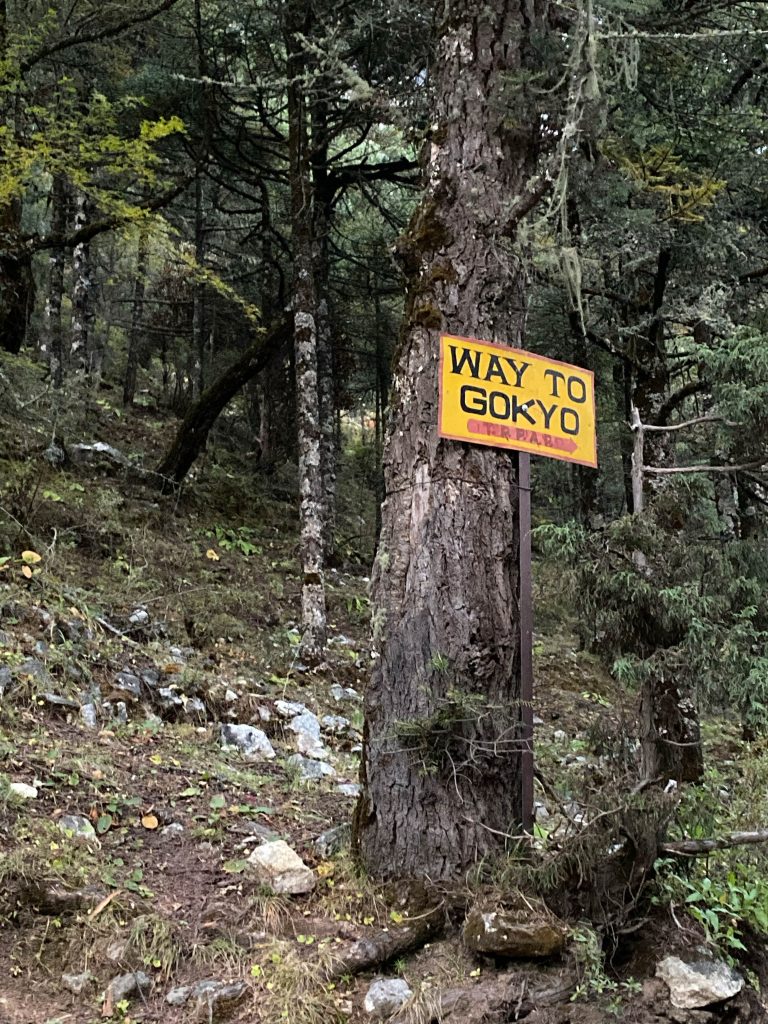 A sign on a tree says "Way to Gokyo".