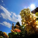 shot of the bell tower at an angle with a beautiful blue sky and orange and yellow flowers in the foreground