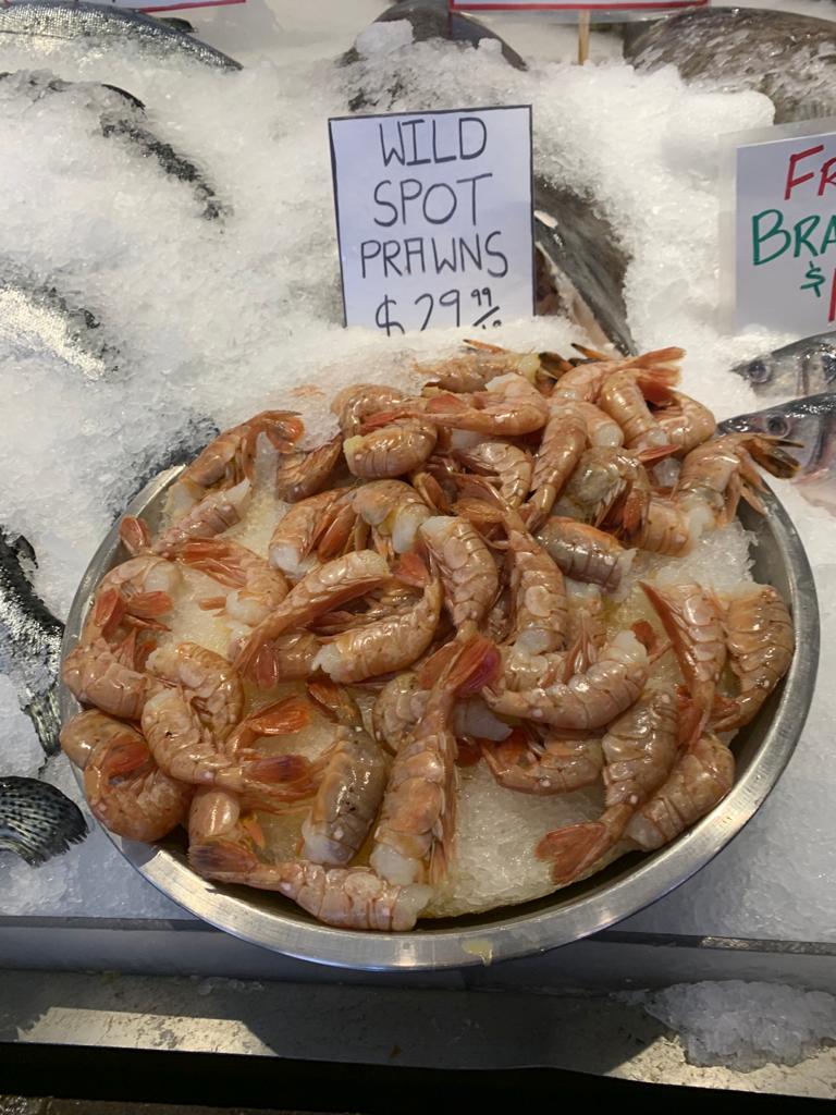 a closeup of "wild spot prawns" in a seafood market