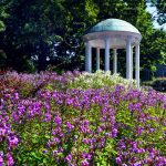 Photo of the Old Well in summer, with spring flowers in the foreground. (photo by Donn Young)