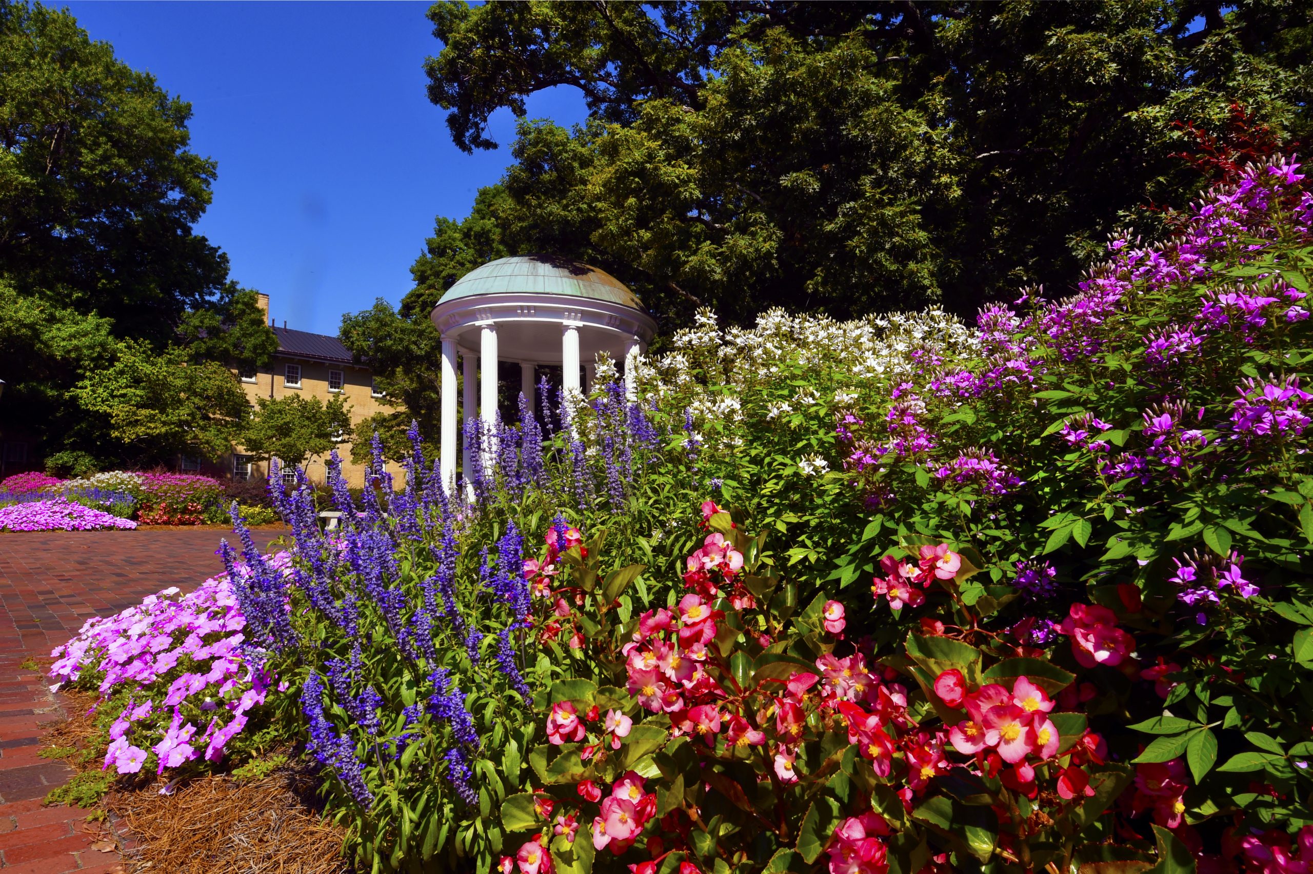 Summer image of the Old Well with colorful flowers in the foreground.