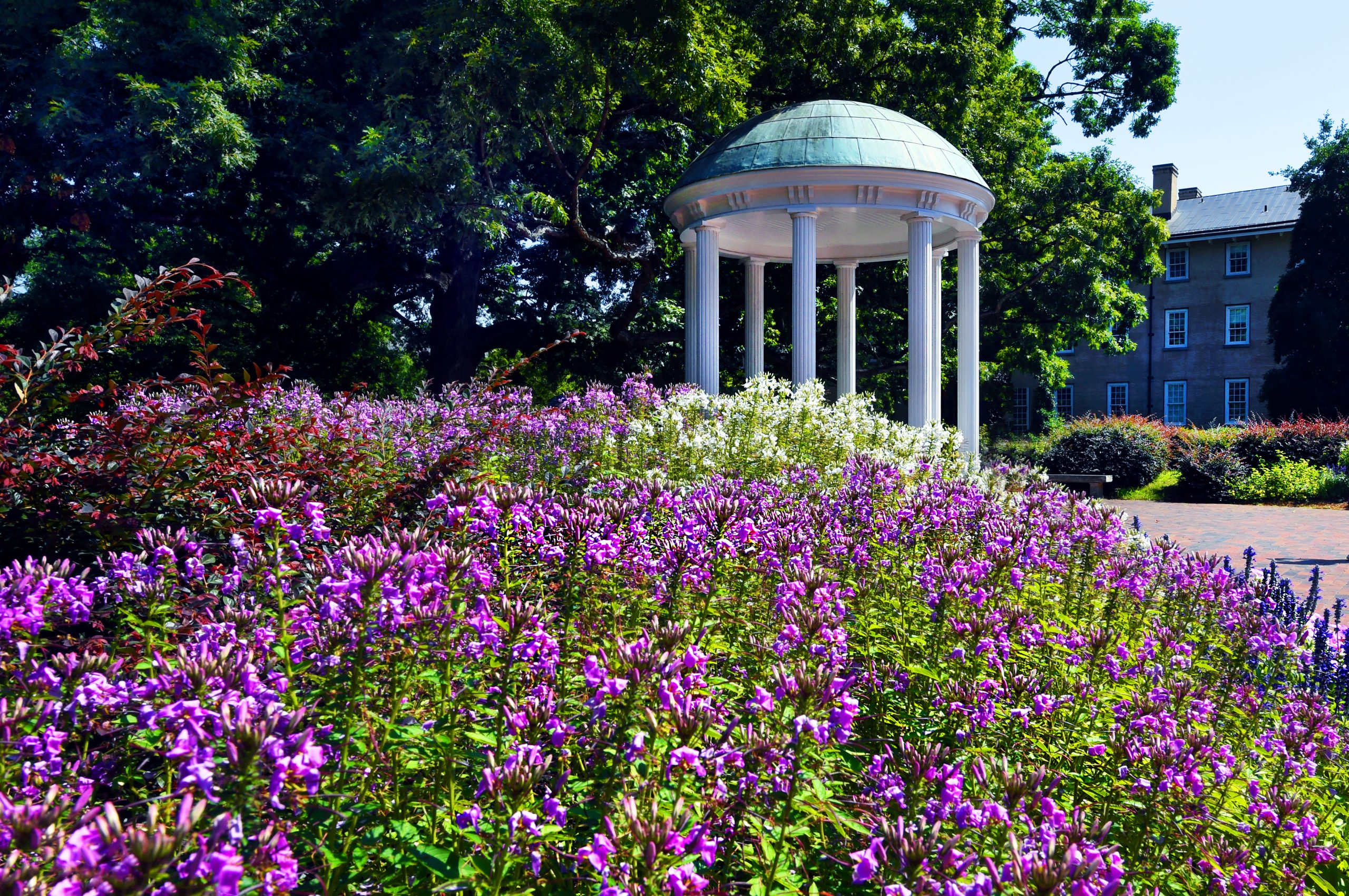 Old Well with summer flowers in front.