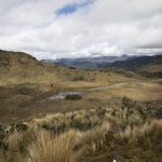 Landscape photo shows the paramo or high altitude grasslands in Ecuador.