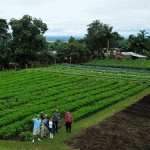 A group of people standing on a farm waving