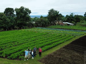A group of people standing on a farm waving