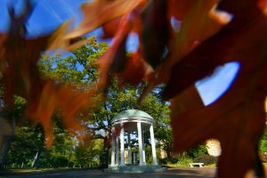 A view of the Old Well from across Cameron Avenue peeking through the leaves of an orange-brown tree. (photo by Donn Young)