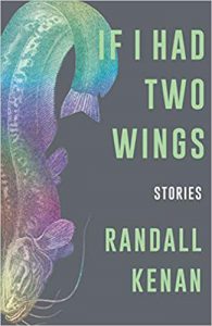 book cover for "If I Had Two Wings"