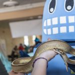 a hand holds a snake for UNC Science Week celebration.