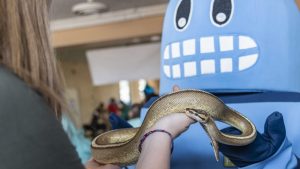 a hand holds a snake for UNC Science Week celebration.