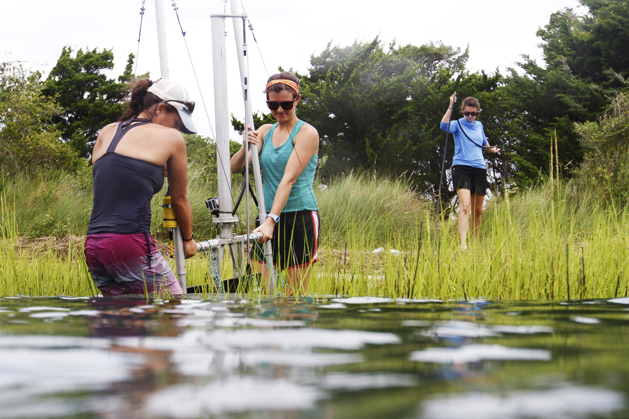 Three female graduate students perform research in the water on local living shorelines in Beaufort, NC.