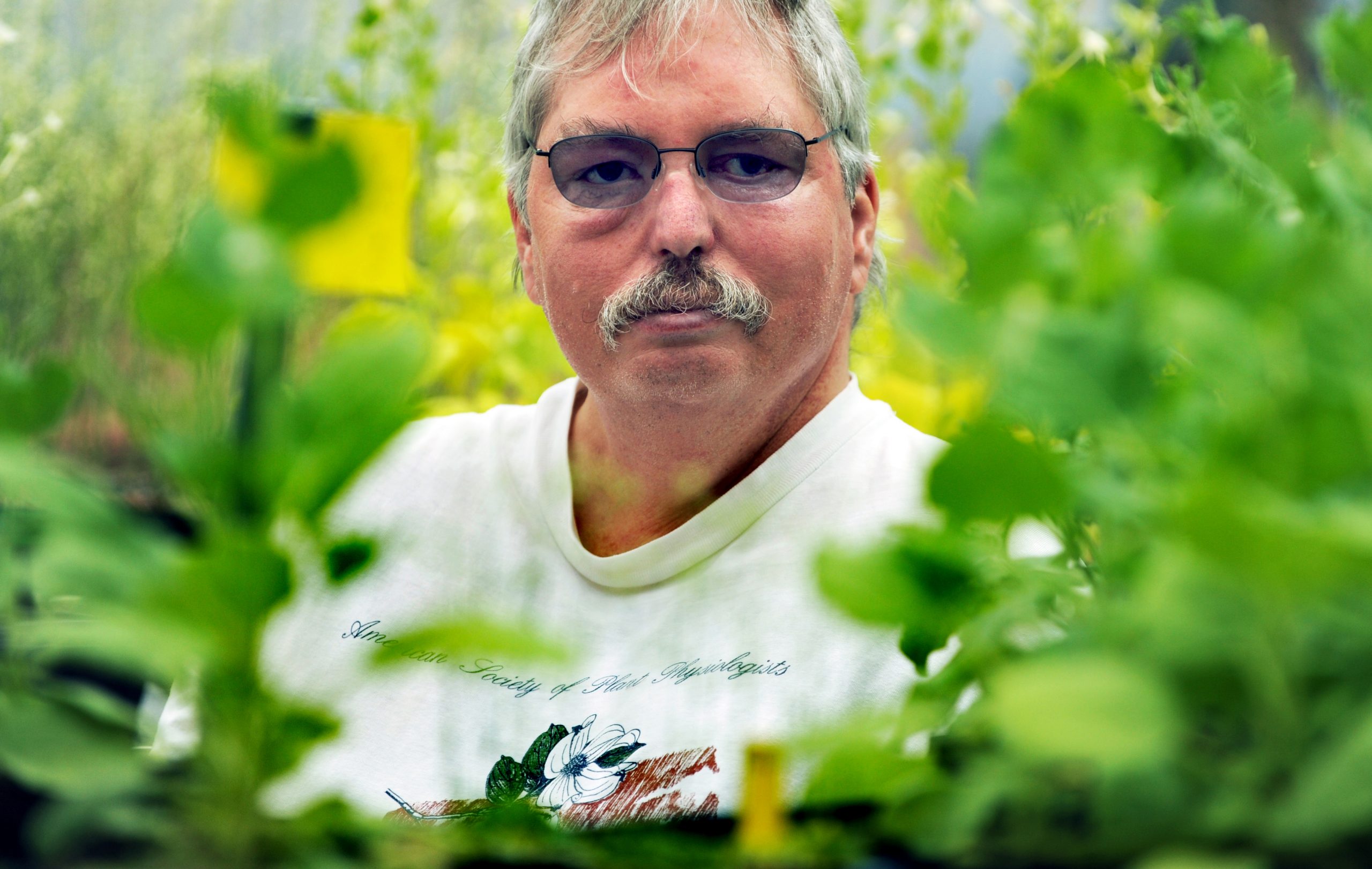 Jeff Dangl peeks through plants in his lab.