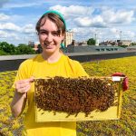 Addie Wilson dressed in yellow Tshirt smiles at the camera while holding a piece of equipment containing bees.