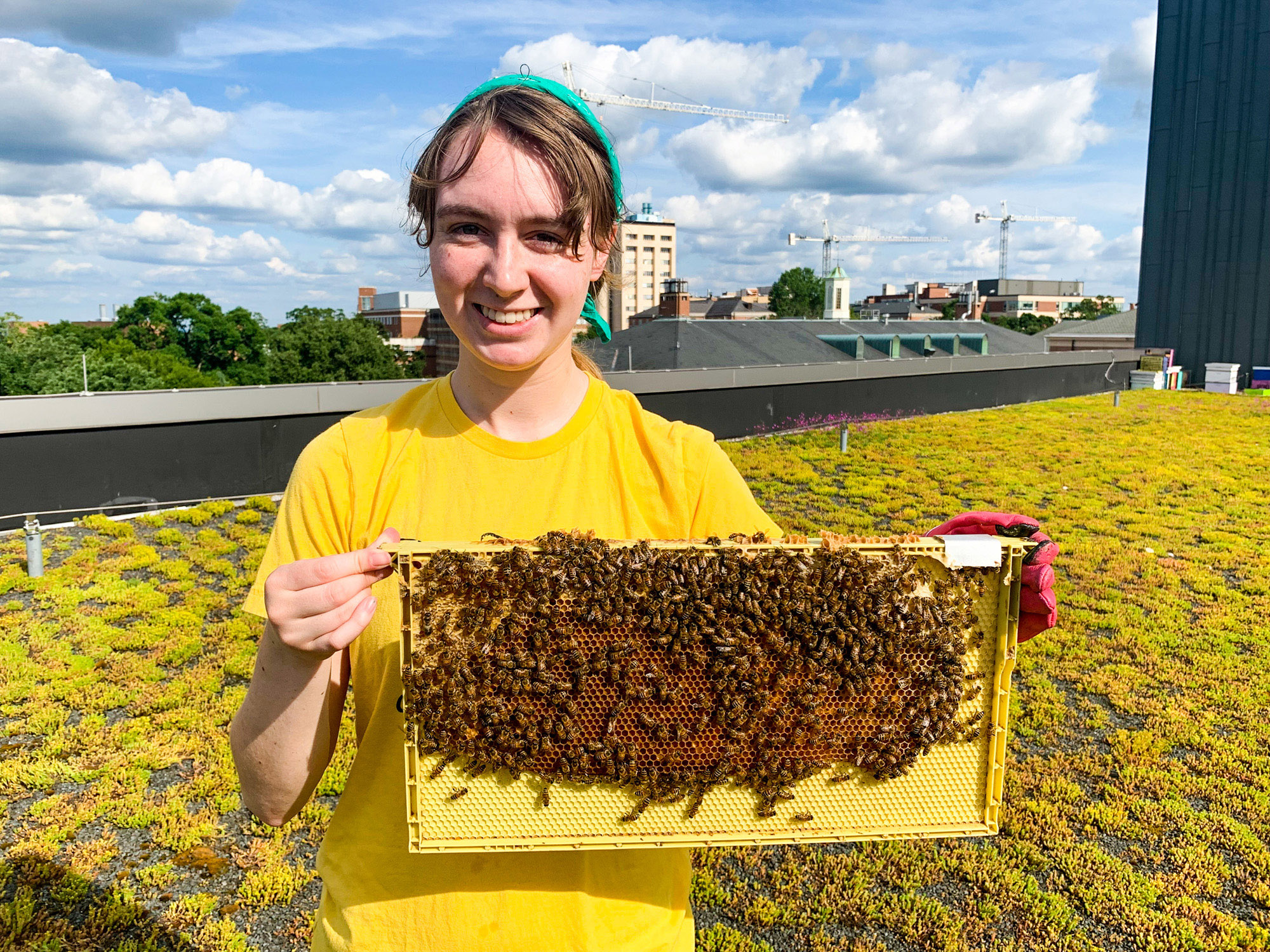 Addie Wilson dressed in yellow Tshirt smiles at the camera while holding a piece of equipment containing bees.