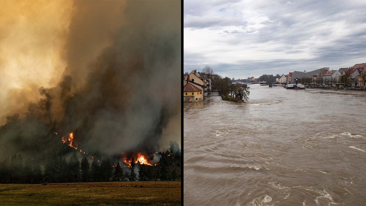 This summer, wildfires in the Western United States raged for months, and several European countries experienced unprecedented flooding. In total, these natural disasters have caused billions of dollars in damage and the deaths of hundreds. (Adobe stock images)