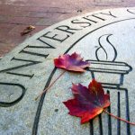 a fall leaf rests on the University seal on the brick near South Building. (photo by Donn Young)