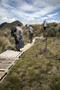 Three researchers walking with their equipment up a path