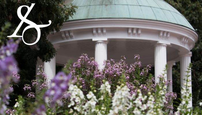 Desktop background of white and purple flowers in front of the Old Well with the College of Arts & Sciences ampersand