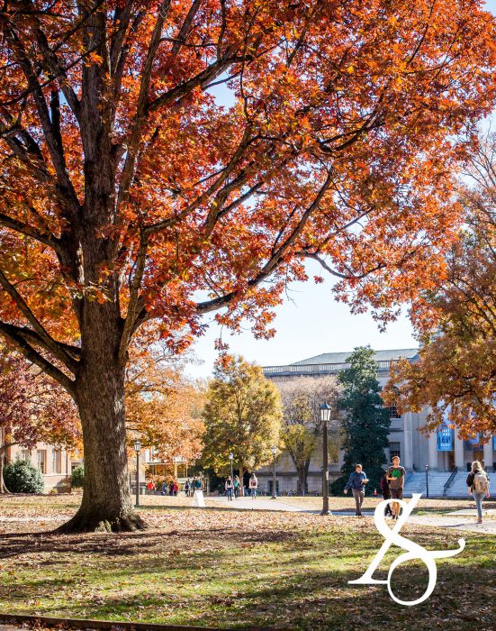 Mobile background of fall foliage on Polk Place with the College of Arts & Sciences ampersand