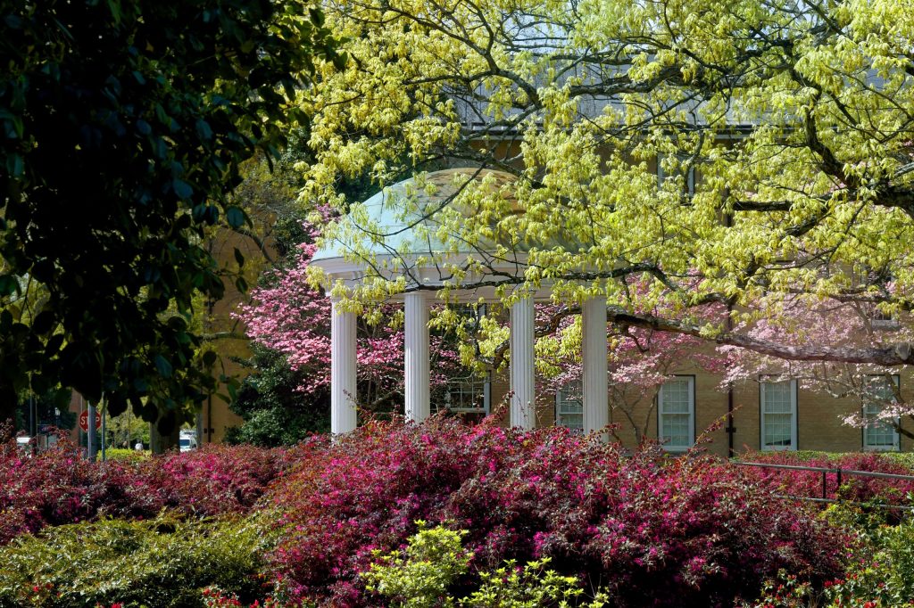 UNC-Chapel Hill's campus at spring time