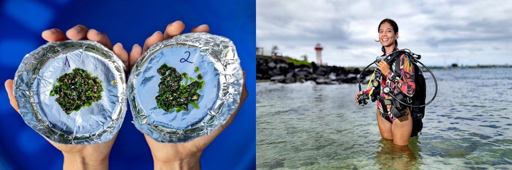 Left: Above: Isabel Silva holds wet macroalgae from the Ulva genus that is ready to be dried. With this process, she can calculate algal biomass in the sample. Right: Silva stands on the beach.