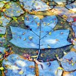A sculpture made of blue leaves lies on the ground with colorful real fall leaves around it.