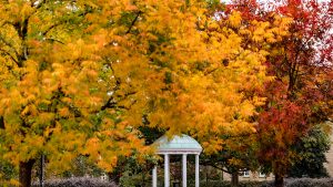 Fall foliage at the Old Well on UNC's campus