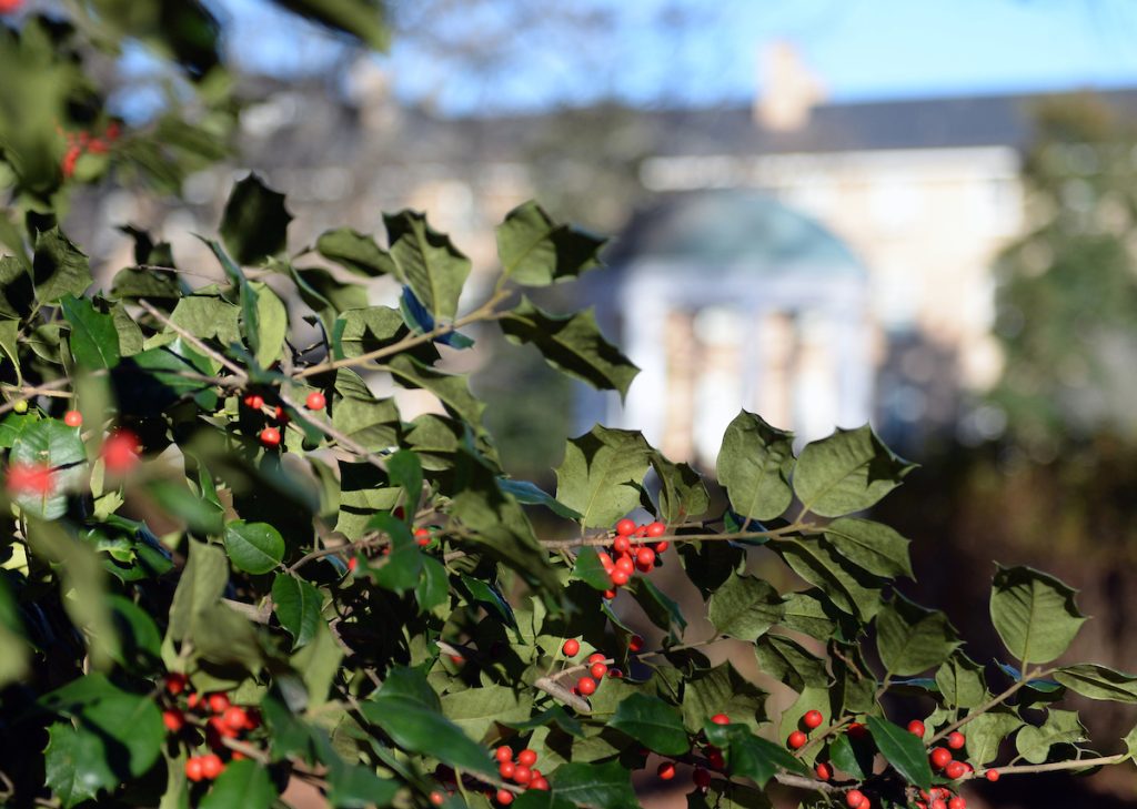 A winter view of the Old Well as seen through the branches of a holly tree with red berries.