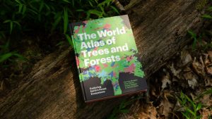 Peter White's new book "The World Atlas of Trees and Forests" is lying on the ground surrounded by trees.