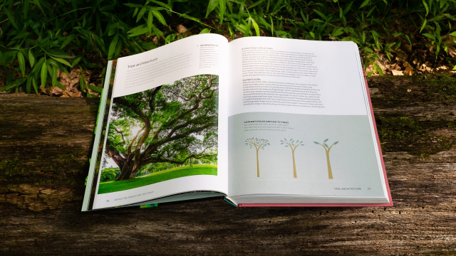 White's new book is open to spread in the book showing a colorful tree photo on the left side and text on the right. The open book is lying on the ground.