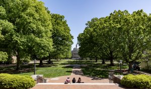 The Polk Place quad, ringed by trees, with the steps of South Building in the foreground and Wilson Library in the background.