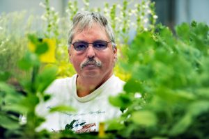 Jeff Dangl is surrounded by greenhouse plants as he looks at the camera.