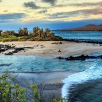 A view of the Galapagos islands with crystal blue water and sandy shores and green plants flanking the shoreline.