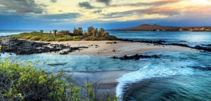A view of the Galapagos islands with crystal blue water and sandy shores and green plants flanking the shoreline.