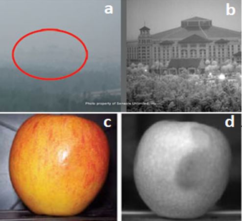 Collage showing a foggy night taken with a SWIR and an RGB camera and an apple taken with a SWIR and RGB camera.