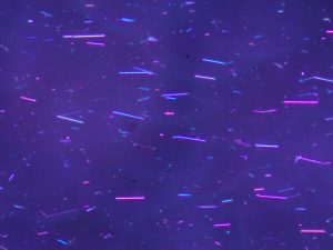 Small rod-like objects, nanowires, in vivid purples and blues against a dark blue background. 