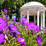 Photo of the Old Well surrounded by purple flowers.