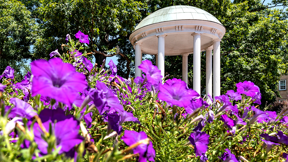 Photo of the Old Well surrounded by purple flowers.
