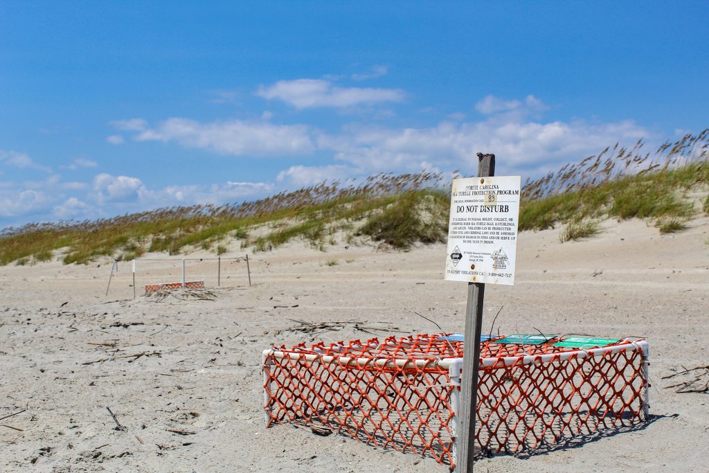 A cage and a sign warn visitors not to mess with a loggerhead sea turtle nest on the beach.