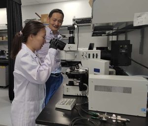 Inside the Jinsong Lab, Mengru Wang looks into a microscope while Jinsong Huang looks on.
