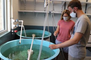 Janet Nye and a student observe two large tubs filled with small fish, inside a lab.