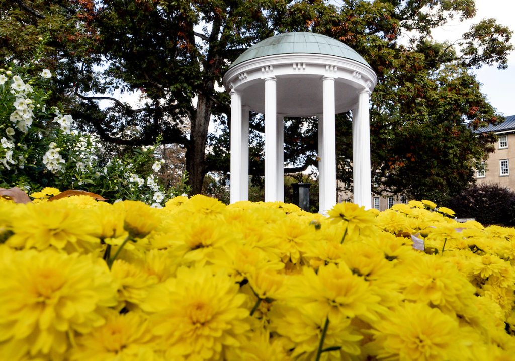 The Old Well surrounded by yellow flowers.
