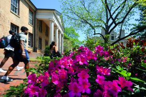 Students walk across campus with pretty pink flowers in the foreground.