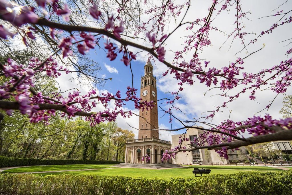 The Bell Tower surrounded by beautiful pink flowers in spring. 