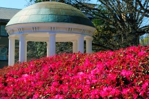 A closeup shot of the Old Well, surrounded by pink azaleas in spring. (photo by Donn Young)