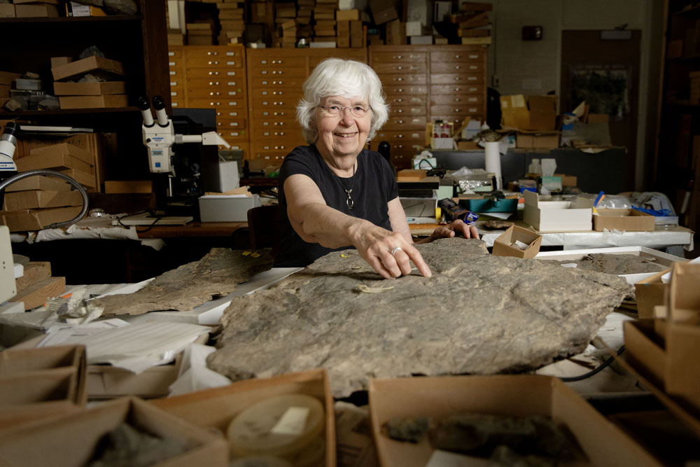 Patricia Gensel sits at a desk in front of a flat rock -- a giant fossil containing an ancient plant.